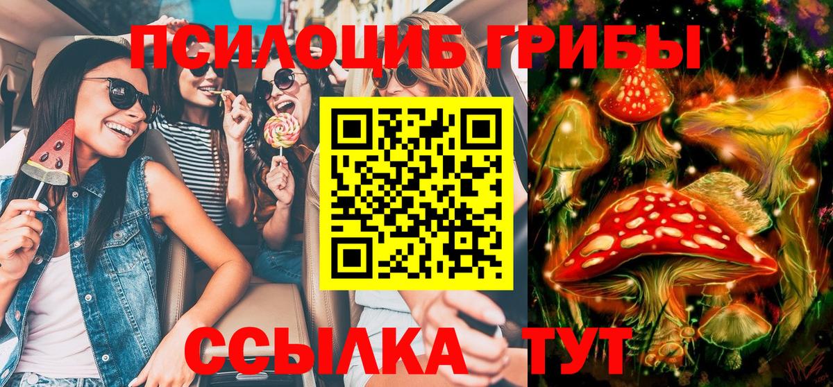 Галлюциногенные грибы Cubensis  Вход с VPN  Саки 